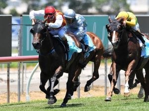 Class jump for Problem Solver at Randwick