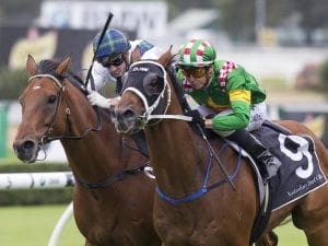 Rare Summer Cup win for Montauk with Mathew Cahill aboard