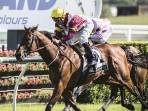 Fierce Impact wins Group Three Summer Cup