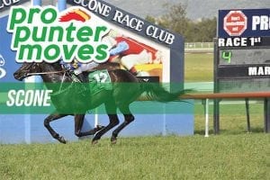 Scone market movers, Wednesday, December 27