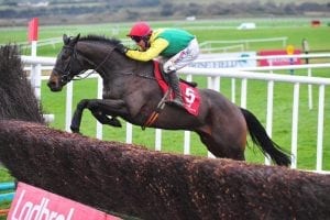 Sizing John pleases Jessica Harrington in racecourse spin