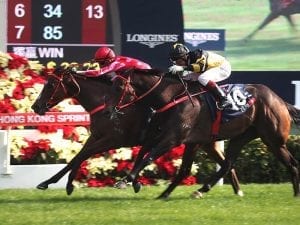 Mr Stunning Nash Rawiller win Hong Kong Sprint