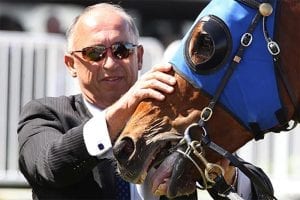 Trainer Robert Heathcote with Buffering