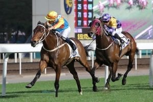 Debuting Ka Ying Star shines at Sha Tin