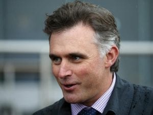 Lindsay Park chase third Chairman's Stakes