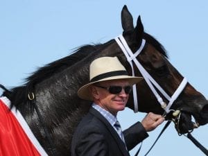 Caulfield Chairmans Stakes on radar for Chicago Typewriter