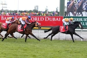 Embellish winning the NZ Guineas