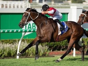 Bergerac set to back up at Eagle Farm