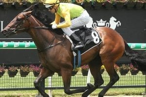 Epaumada out of Karaka Million reckoning