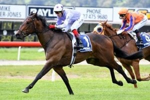 Ever Loyal winning at Te Aroha