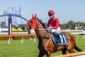 Plenty in-store for Extremely Lucky heading into Lightning Stakes