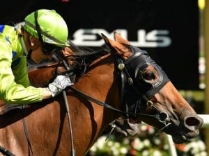 Kah rides Belwazi to Flemington stakes win