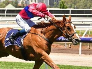 Adelaide Cup looms on radar for Khezerabad