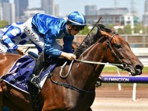 Sydney G1 autumn aims for in-form Oceanex