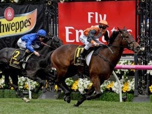 Simon Zahra : Prezado in great order ahead of Inglis Dash