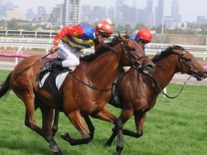 Rock 'N' Gold takes out Kensington Stakes at Flemington