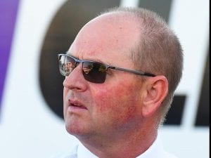 Siegfried headed to fourth Magic Millions day