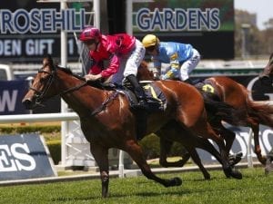 Blue Diamond Preview plans for Secret Lady