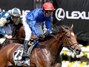 Dubai Gold Cup plans for Cross Counter