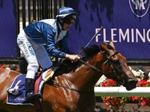 Jedastar set for Blue Diamond Preview