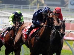 Long Leaf draws out in Karaka 3YO Classic