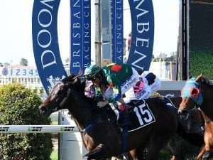 Promising Rancho Montoya to resume at Doomben