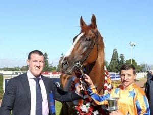 Te Akau Shark out of autumn racing