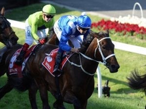 Winx fit and healthy ahead of tomorrow's barrier trial