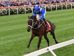 Winx cruises in Rosehill barrier trial