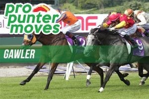 Gawler market movers for Wednesday, January 31