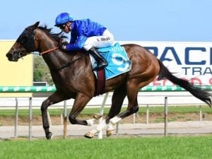 Godolphin gets first Millions runner