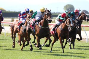 Group One tilt on cards for Humbucker