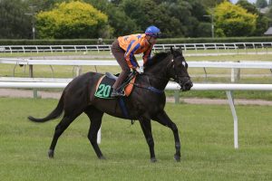 Imperatriz on track for Railway