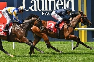 Long Leaf set for million dollar challenge