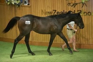 De Burgh ends four-day stint with a bang at Karaka