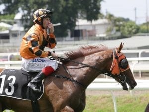 Doss out of Magic Millions Guineas