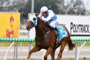 Mishani Spartan wins final spot in the Magic Millions 2YO Classic