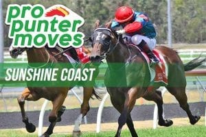 Sunshine Coast Top Racing Tips & Best Bets | Sunday, January 10