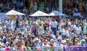 Perth Cup declared a no-race after fall