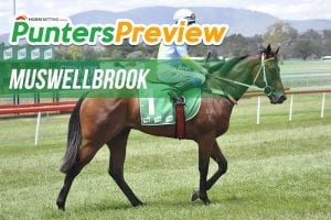 Muswellbrook tips & full form for Friday, January 12