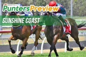 Punters Preview Sunshine Coast