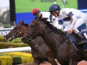 Freedman ready to Frolic in Sydney