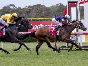 Dwayne Dunn breaks metro winning drought aboard Gretzsky