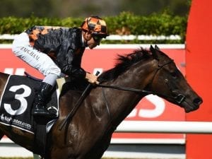 La Tigeresa claims metro win at Sandown