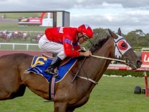 So Splendid dominant in Sandown victory