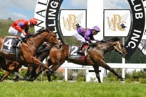 Latta on target for Karaka meeting