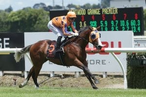 Karaka Million dress rehearsal for Te Akau runners