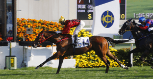 Dinozzo wins class 2 handicap