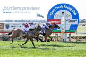 Stony Creek tips, odds & value bets | Tuesday, February 1