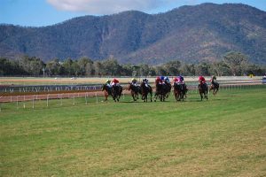 Views of Mt Archer at Callaghan Park